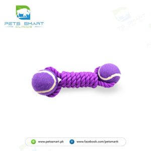 Tug Toy with 2 Balls