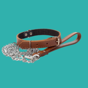 Collar, Harness and Leashes