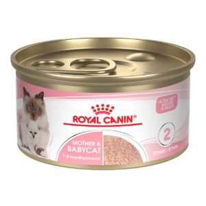 Royal Canin Mother & Baby Jelly 195 g
