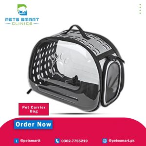 Soft Pet Carrier Transparent & Collapsible