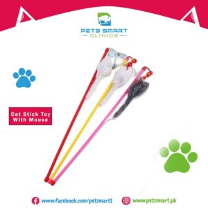 Cat Stick Toy with Mouse