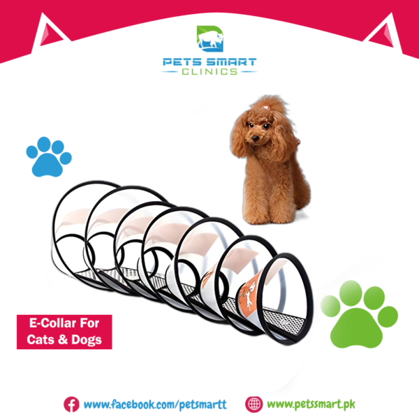 E-Coller for Pets( Cat & Dogs)