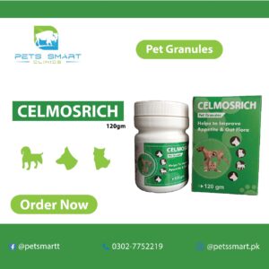 Celmosrich(Supports Better Appetite & Digestion) 120 gm