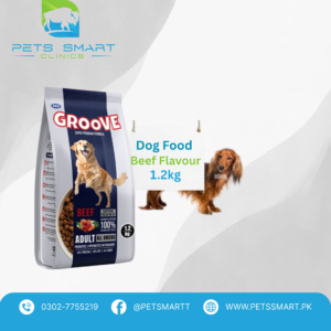 Groove Dog Food Beef